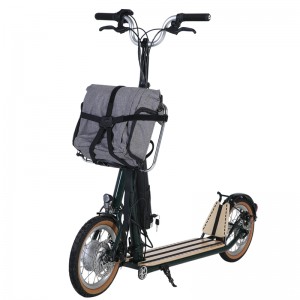 H10- 14inch Double folding machanism Electric scooter